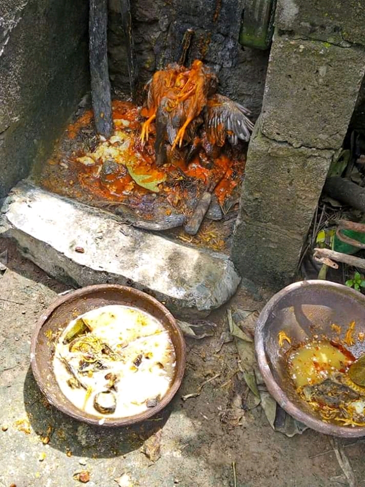 Ifaniyi