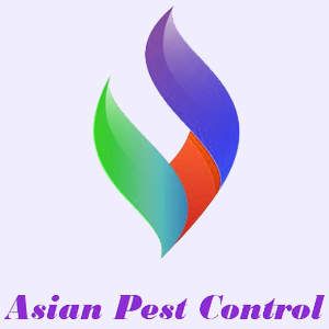 Asian Pest Control
